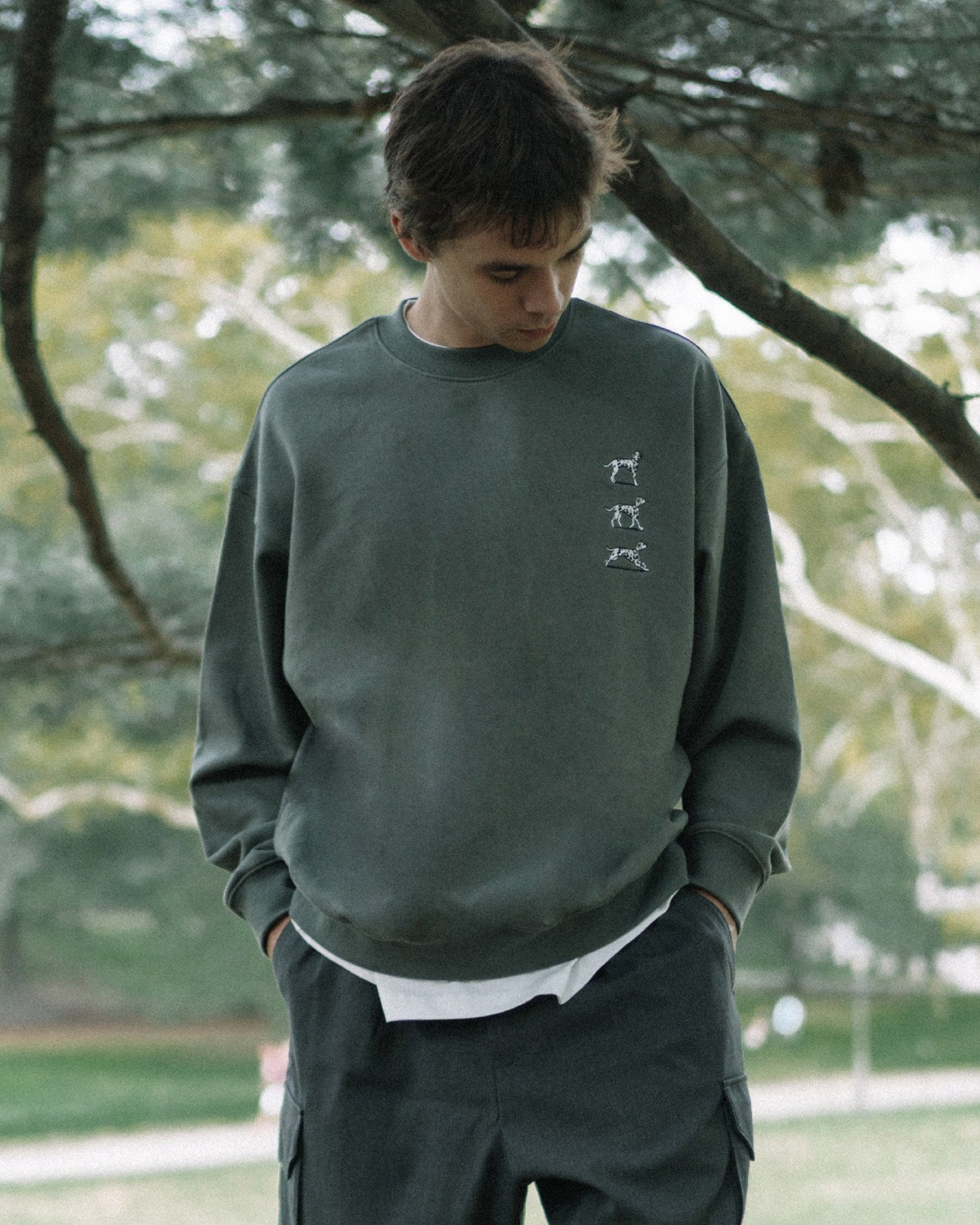 DOG SWEATSHIRT W1561