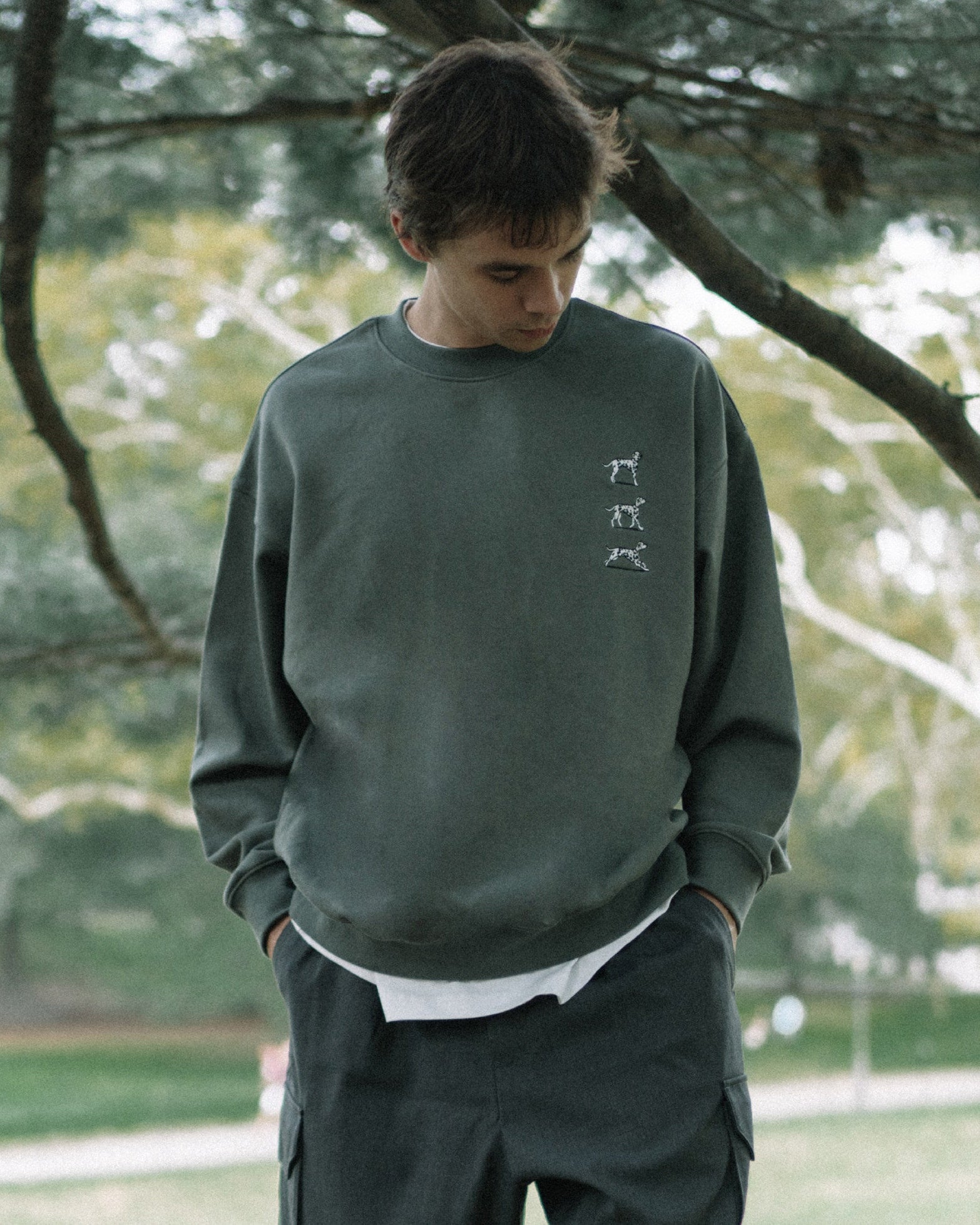 DOG SWEATSHIRT W1561